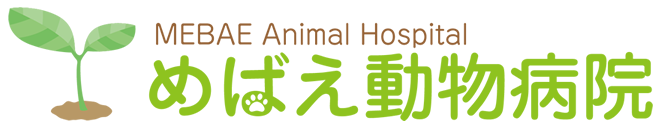 めばえ動物病院へ｜Mebae Animal Hospital